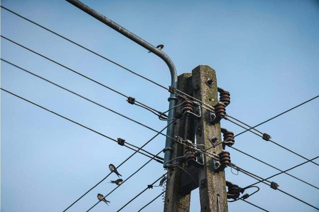 Electrical panel inspection